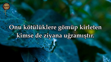 91 Şems Suresi - Nasser al Qatami