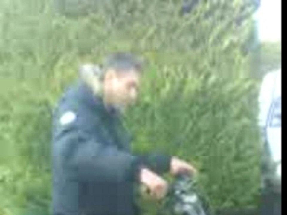 MOV00121