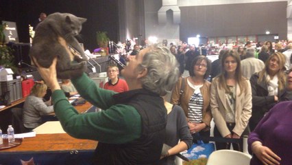 Salon international du chat