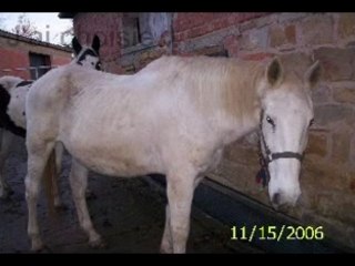 Mes petits z'amours.