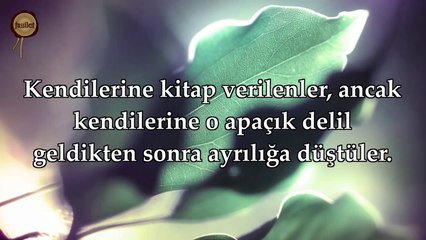 98 Beyyine Suresi - Nasser al Qatami