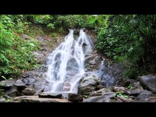 Şol Cennetin Irmakları... Elif Ömürlü Uyar