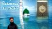 aiy sabz e gumbad wale (hafiz muhammad ali chishty)