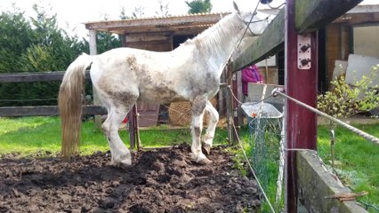 Wonder qui danse de la zumba lol