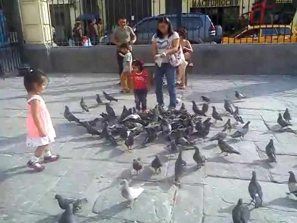 las palomas en la iglesia