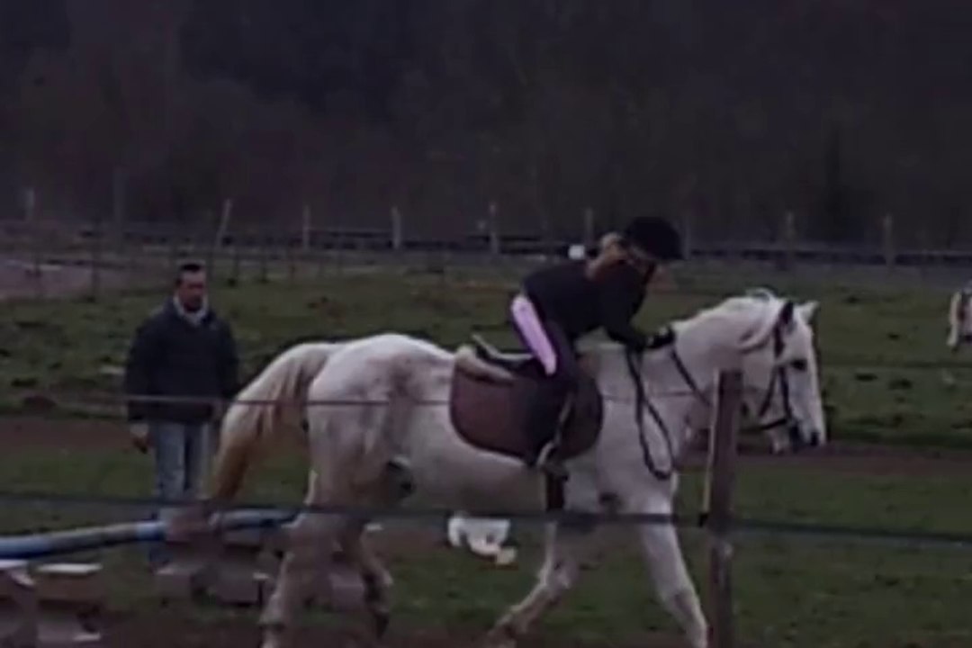 Poney 010314 2/6