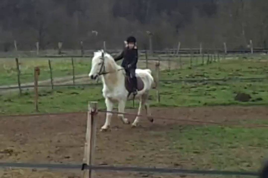 Poney 010314 3/6