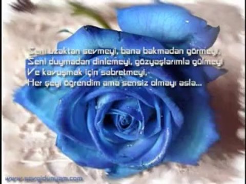 Dj AteŞ&SeviYoruM DeLi GiBi