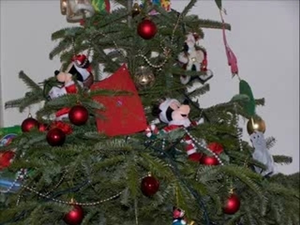 NOEL 2006