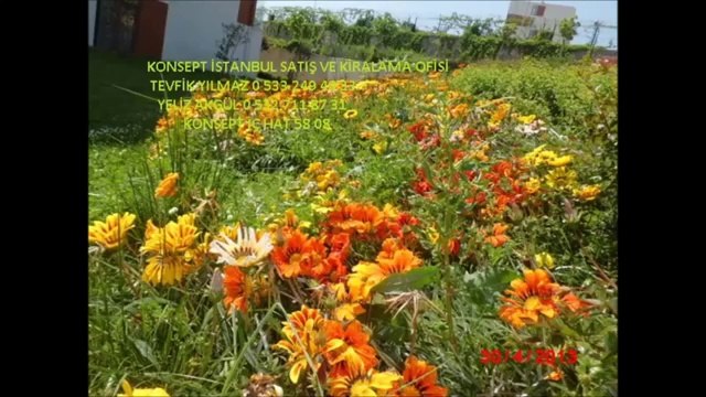 İstanbul Pendik Kurtköy Yenişehir Mahallesinde Satılık 3+1 Daire..