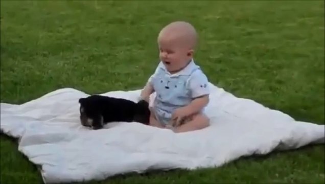 SÜPER VİDEO BEBEK VE KÖPEĞİN OYUNU