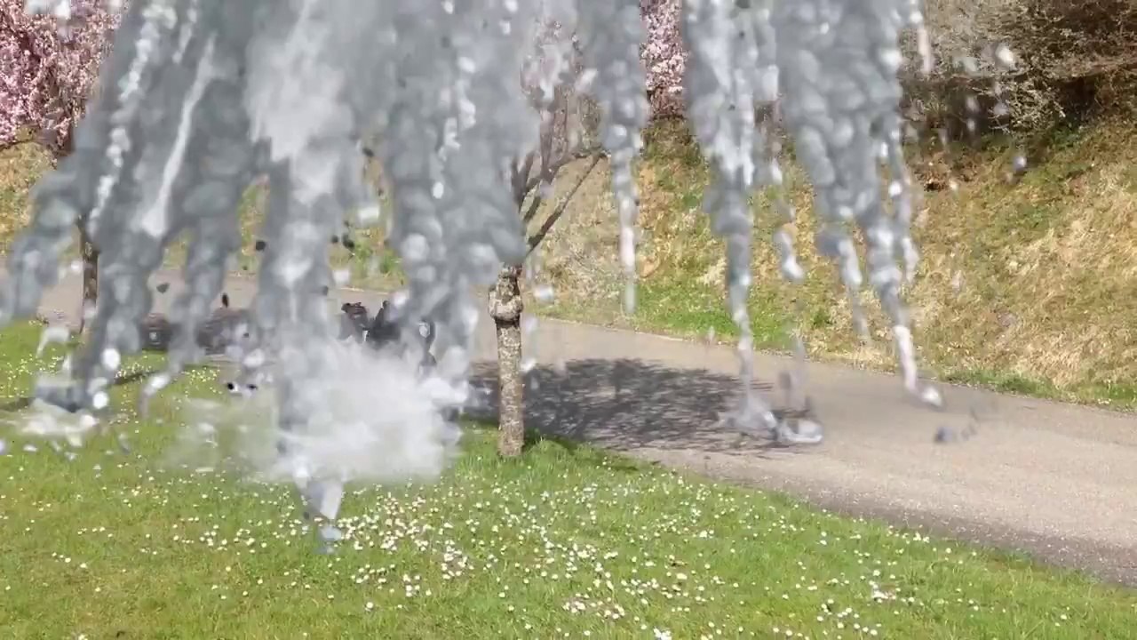 Le Haut Doubs, hostile aux motards ? Pas à la librairie "L'encrier" de Maîche !