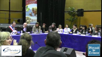 MARSEILLAN - 2014 - Yves MICHEL investi ... Williams MERIC démissionnaire !