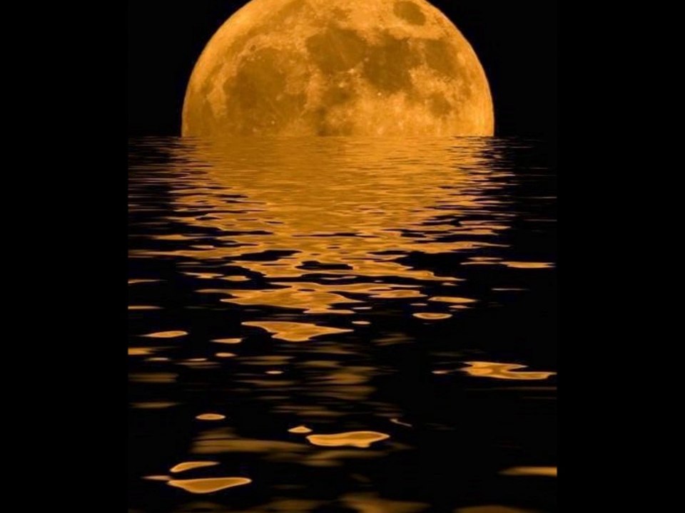 Erkan Oğur-Mecnunum Leylamı Gördüm