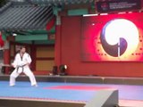 Türkiye Taekwondo Gösteri Takımı Sopa Gösterisi