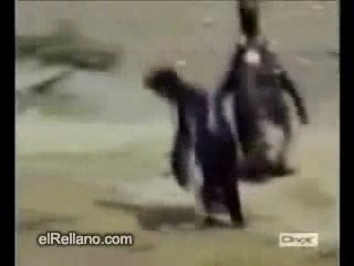 Une difference de 5 jours ...