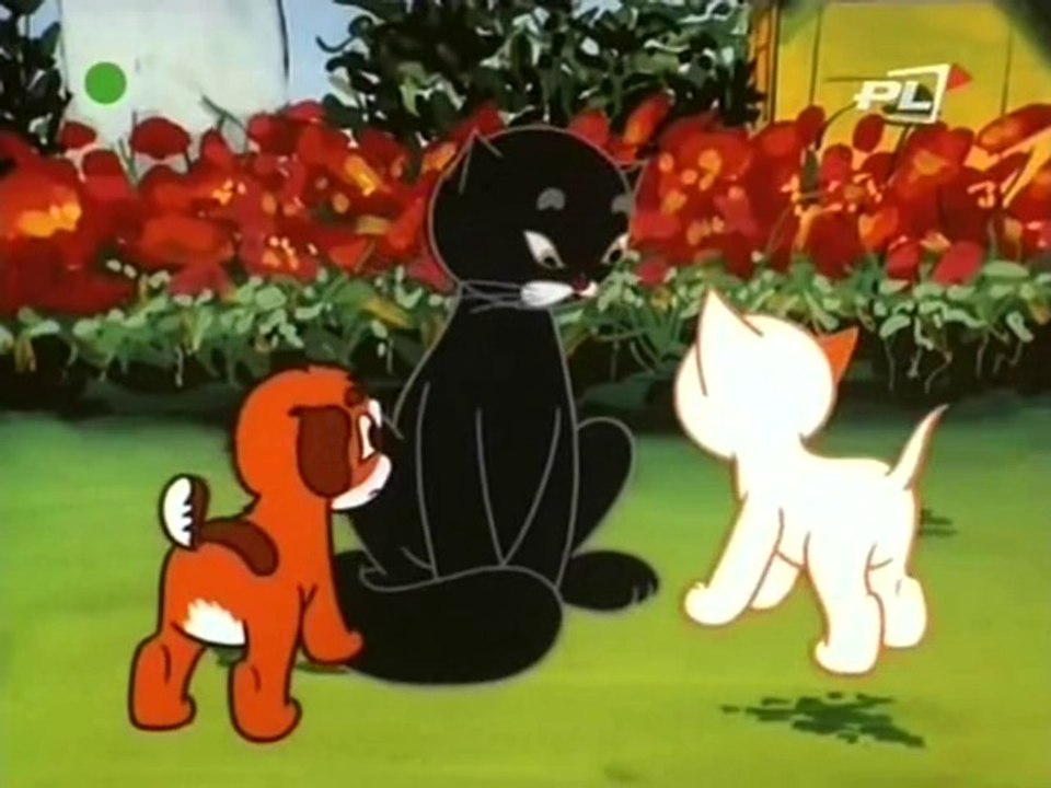 Przygody kota Filemona 32. Turniej