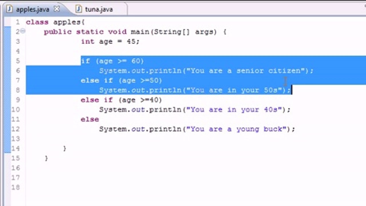 Java Level 1 Tutorial - 19 - else if Statement