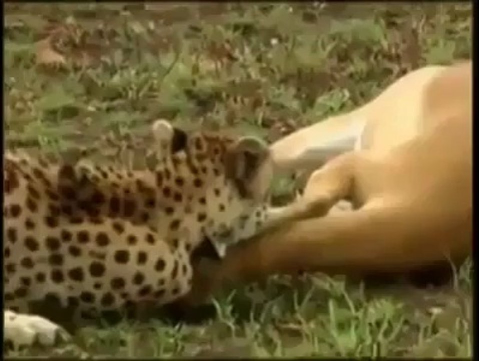 heart touching video