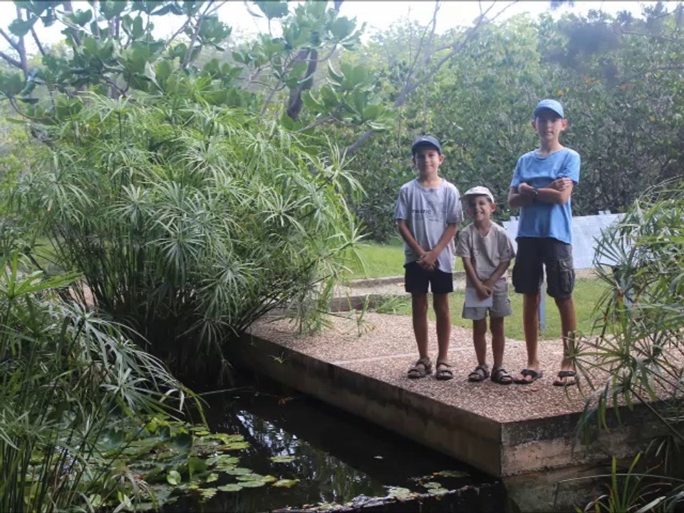 test