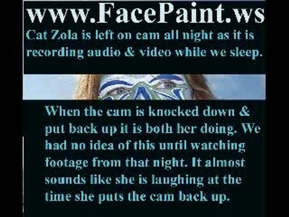 karate cat Famous Cat Zola