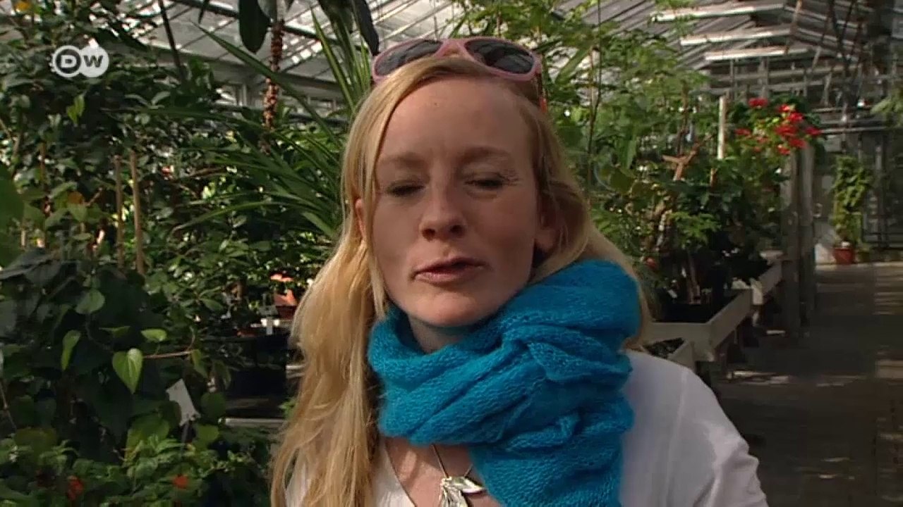 Ulm - drei Reisetipps | Hin & weg