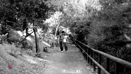 Liber/ N. Szroeder.....Wszystkiego Na Raz