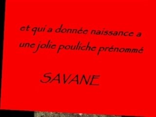 moi olga et savane montage vidéo