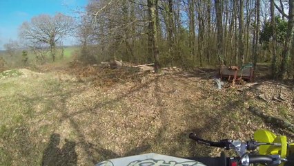 #Gopro 250 Yz-f + Rmz