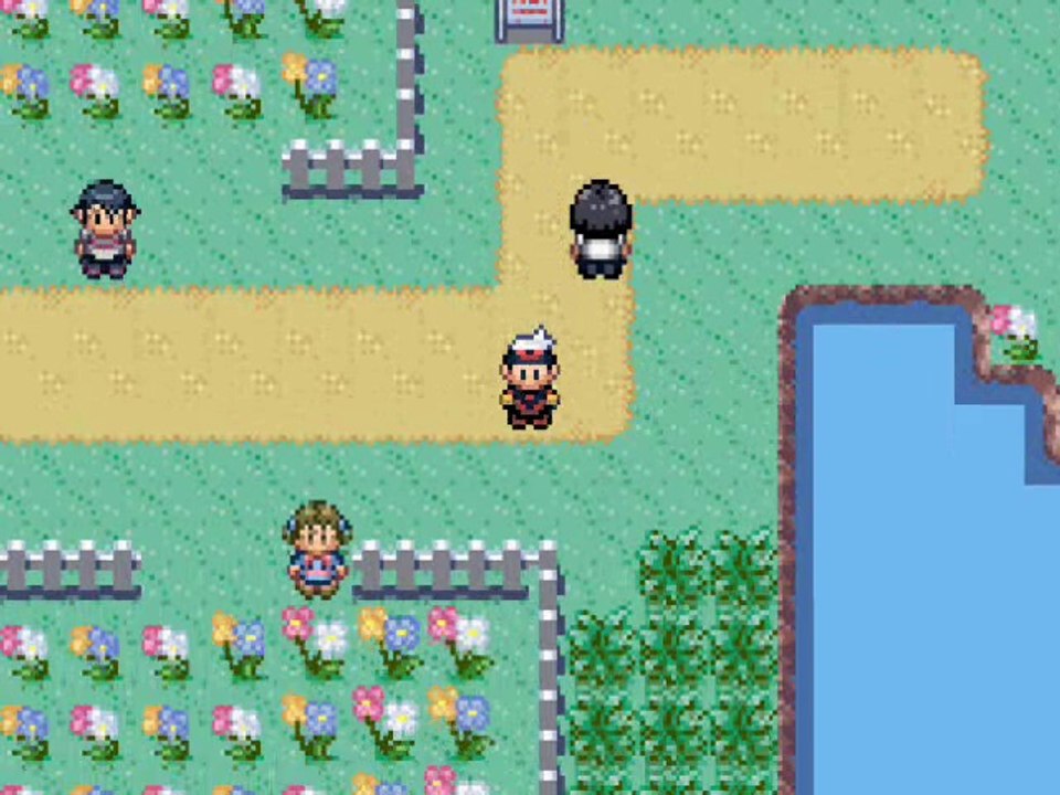 Pokémon saphir 5) Troisième badge