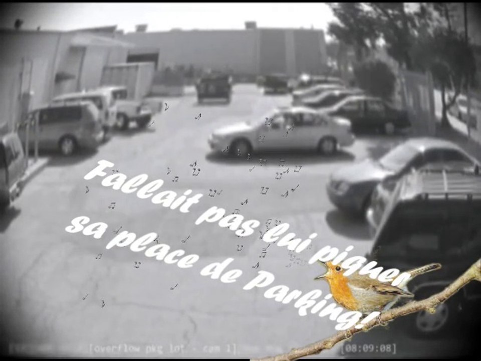 Fallait pas lui piquer sa place de parking