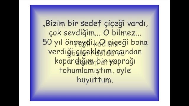 SEDEF ÇİÇEĞİ (HİKAYE)