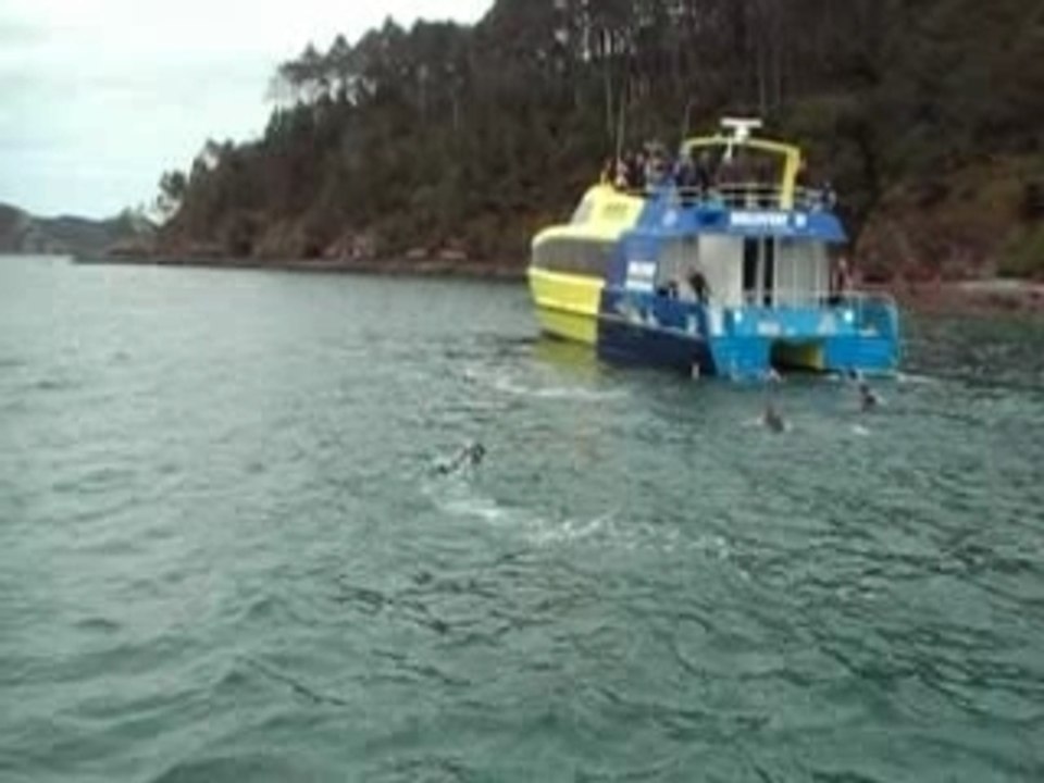BayOfIslandsNZ