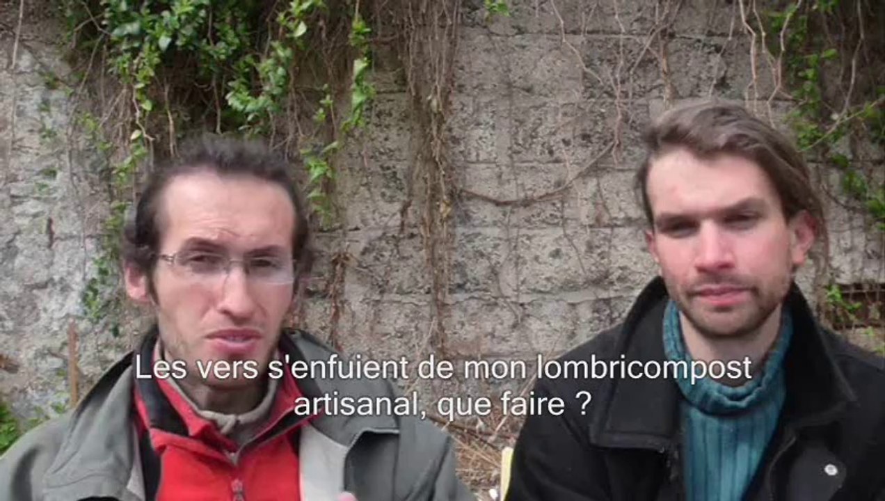Questions-Réponses - Problème avec mon lombricompost artisanal