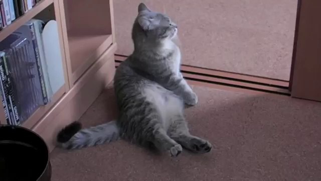 おはようございます HD - Good morning, give me breakfast. HD(360p_H.264-AAC)