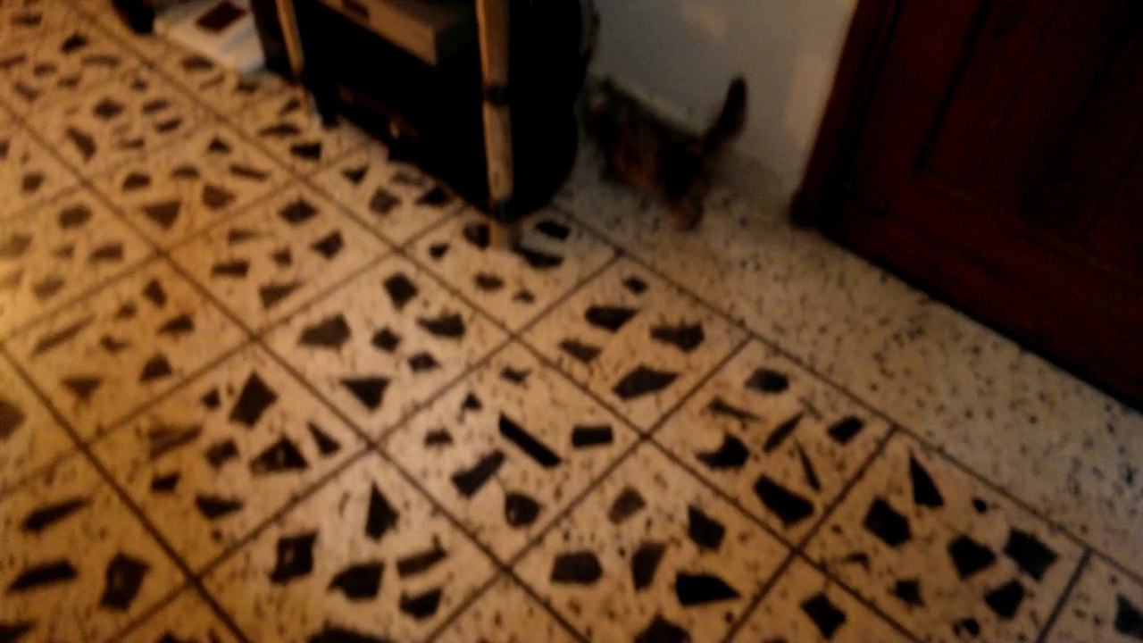 Ash playing around