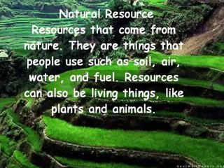 The uses of Natural Resources