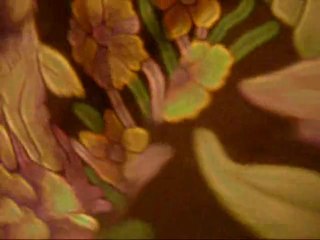 Alchemorph Soundtracks...Soft & Warm