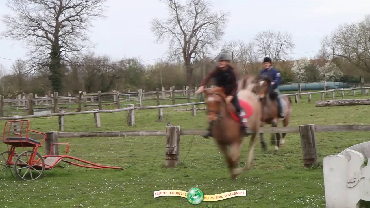 Cross en Folie