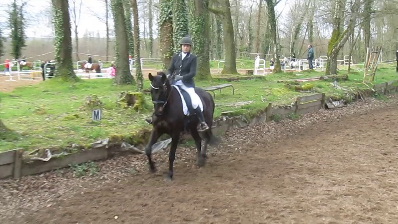 CCE dressage