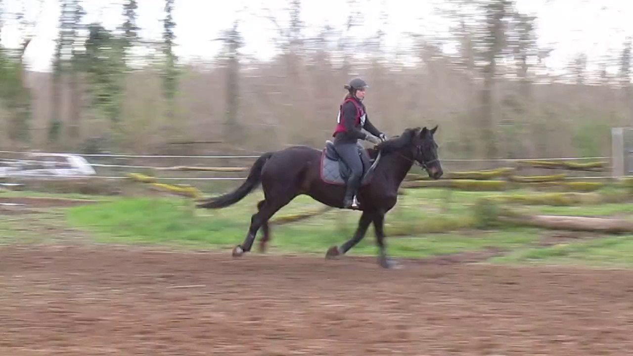 détente cross