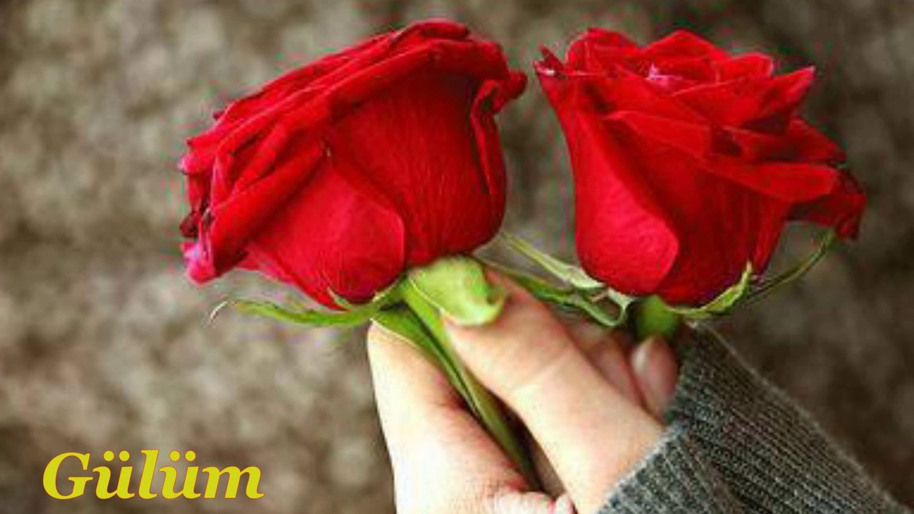 Deniz Toprak - Hazan Nedir - Kozanlı DJ Serdar Siir