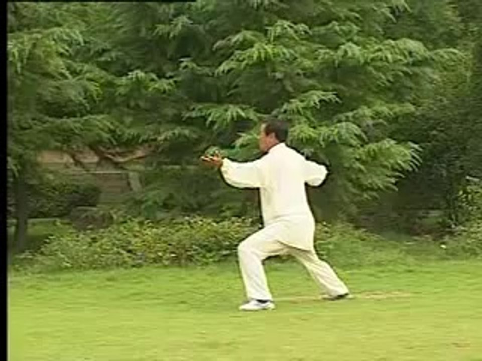 Taiji Style Chen - La Xin Jia (Yi Lu) executée par Wang Xian