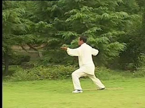 Taiji Style Chen - La Xin Jia (Yi Lu) executée par Wang Xian