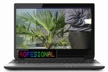 Nelu Miron Ciprian Balan-Am iubit la viata mea