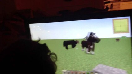 Sutton's minecraft gameplay third person camera