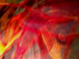 Joe Frawley...Artificial Magic