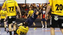 PSG Handball - Gorenje Velenje : focus sur Robert Gunnarsson