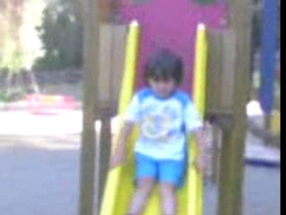 elmis