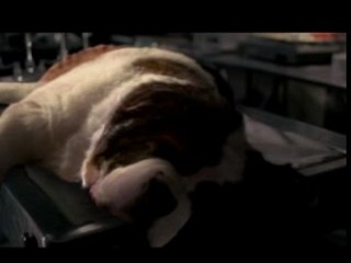 le Predateur du Vercors